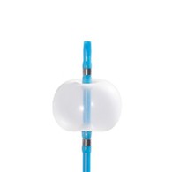 Biliary Stone Extraction Balloon